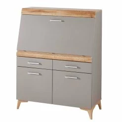 Angebote 😀 Design Sekretär In Grau & Eiche NB - Zella 🥰